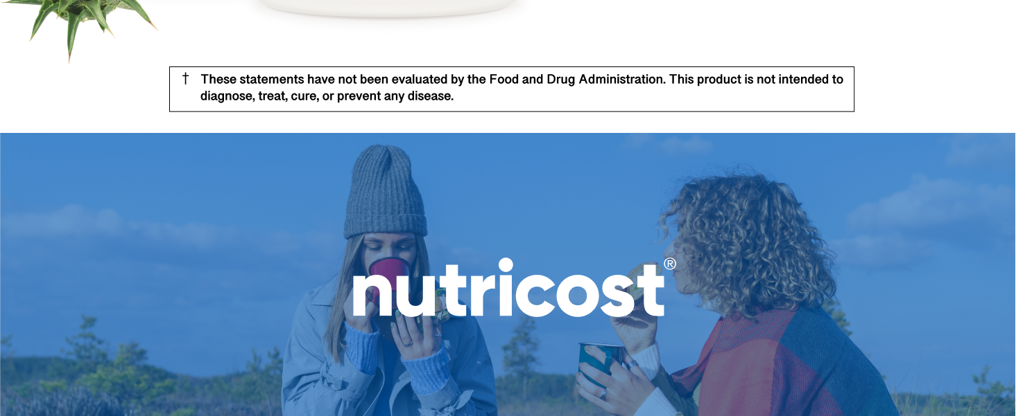 Nutricost Milk Thistle Extract 240 Capsules, 240 Servings, Gluten Free