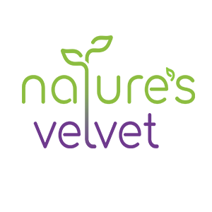 Nature's Velvet Lifecare Brahmi (Bacopa Monnieri) Pure Extract 500 mg, 60 Veg Capsules - Pack of 1
