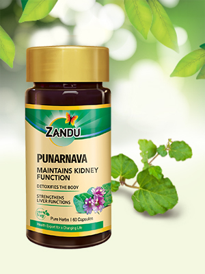 Zandu Punarnava Capsules, With Goodness of Natural Punarnava Extract known for Good Gut Health & for Healthy Appetite, Helps for Heart and Urinary Health - 60 Veg capsules