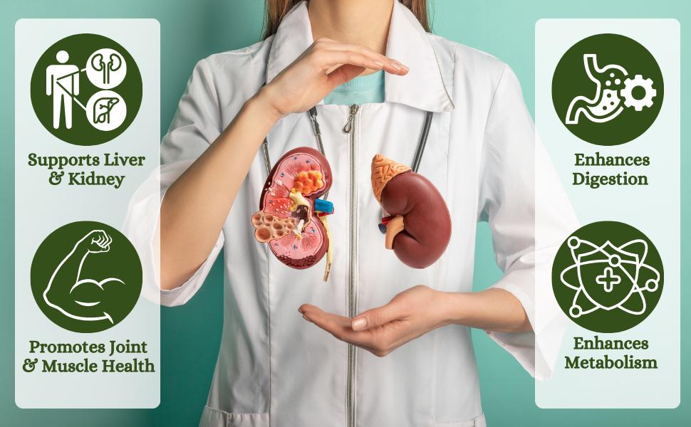 Herbal Hills Punarnava Powder, (1kg Pack) | Supports Kidney Health & Water Balance | Punarnava Churna For Urinary Wellness & Swelling Relief | With Boerhavia Diffusa Root