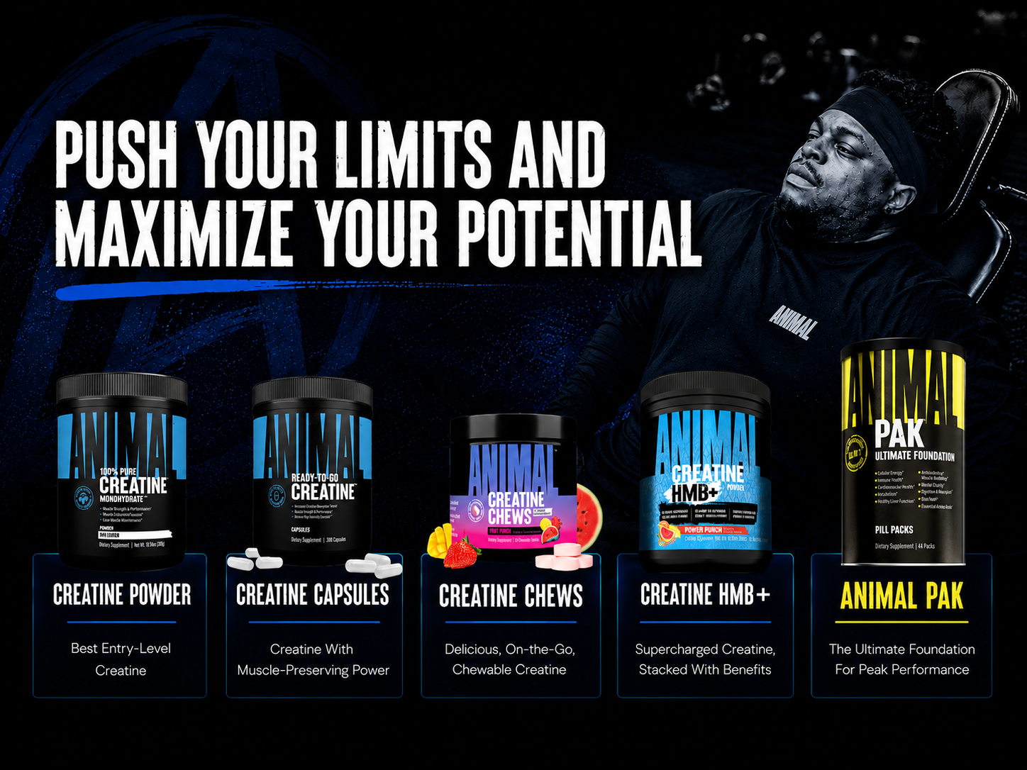 Animal Creatine Monohydrate HMB+ for Men & Women | Power Punch 30 Servings
