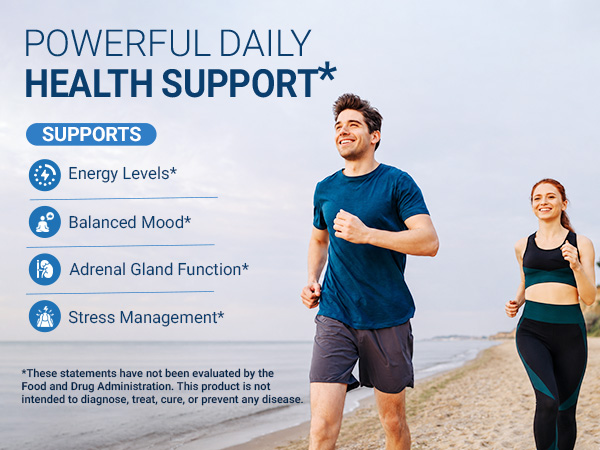 Dr. Berg 600 mg L-Theanine Adrenal Support - 90 Capsules with Ashwagandha & L-Tyrosine, Zinc & Manganese - Advanced 9-in-1 Adaptogen & Mineral Formula - No Fillers*