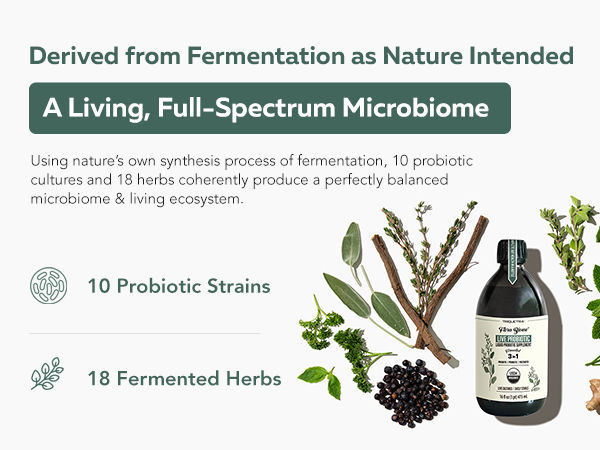 Flora Biome - Organic Live Culture Probiotic, Prebiotic, & Postbiotic