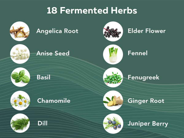 Flora Biome - Organic Live Culture Probiotic, Prebiotic, & Postbiotic