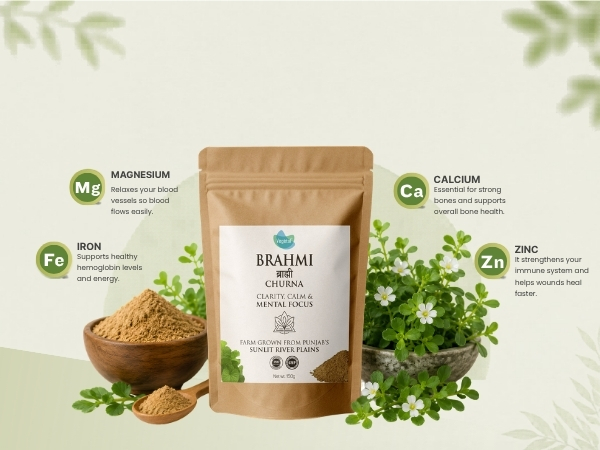 Vegetal Brahmi Churna 150g Bacopa Monnieri Leaf Powder