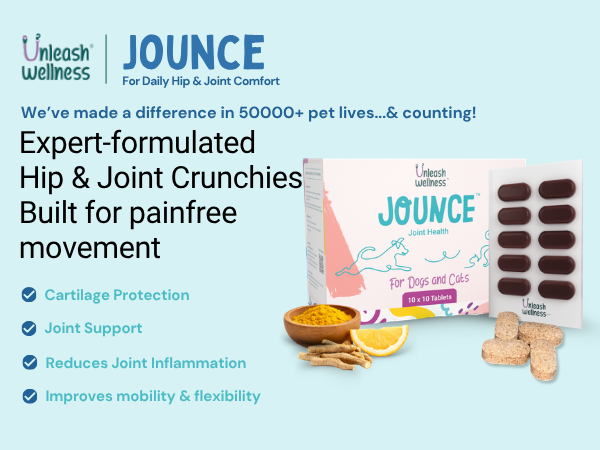 Jounce® Hip & Joint Supplement for Dogs, 30 Crunchies for Stiffness, Limping, Joint Pain & Dogs Prone to Hip Dysplasia with Collagen, Boswellia Serrata & Chondroitin for Mobility & Cartilage Support