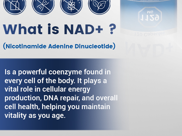 NAD+ Supplement 120 Capsules – Liposomal NAD+ with Resveratrol for Cellular Energy, Healthy Aging & Daily Vitality Support – Vegan, Non-GMO, Gluten-Free for Women & Men