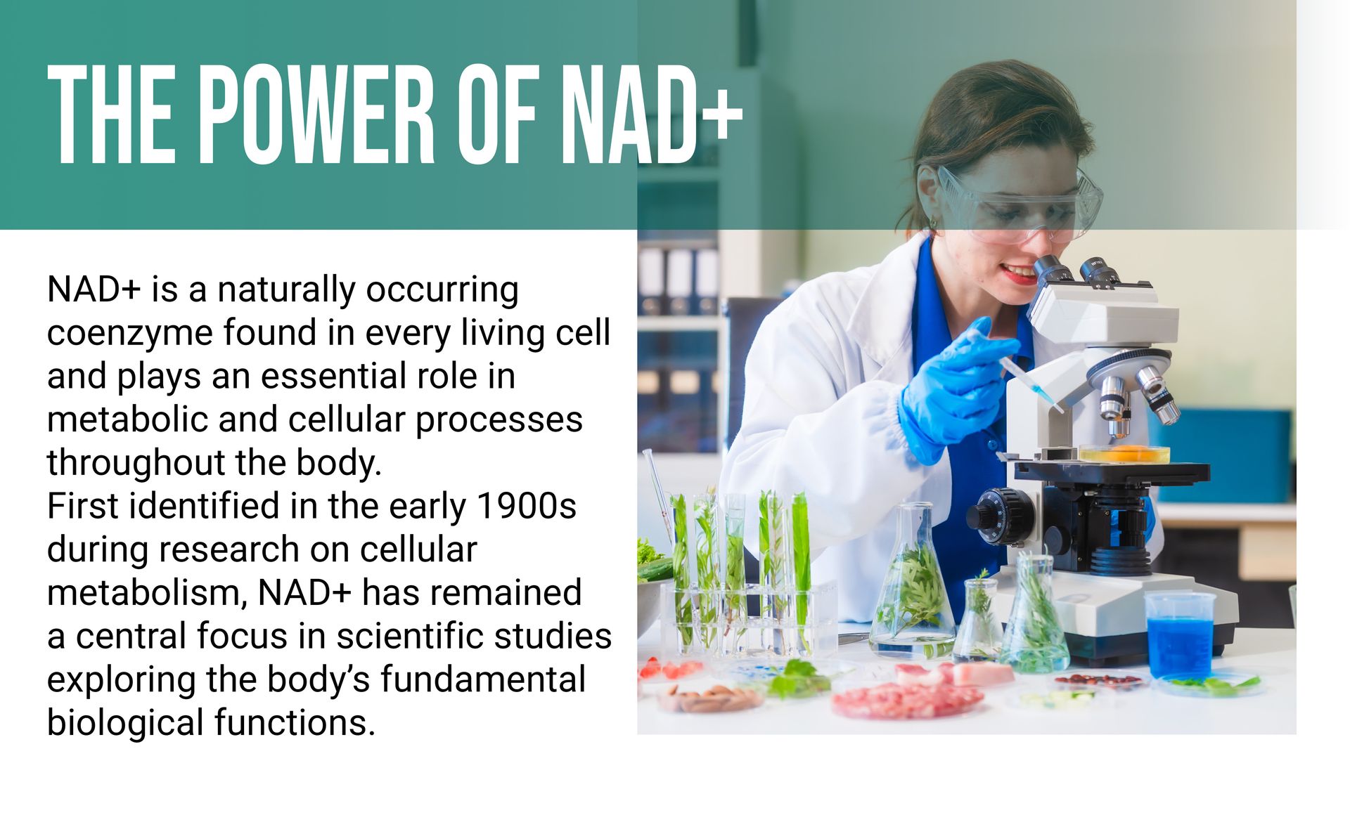 NatureBell Liposomal NAD+ 8-in-1 Complex 2000mg** Per Serving, 120 Vegetarian Capsules – NAD Resveratrol Supplement with TMG, CoQ10, Turmeric, Grape Seed & Apigenin – Non-GMO, cGMP Manufactured