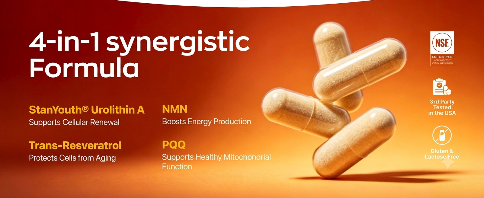 Gynable Urolithin A Supplement with NMN & PQQ, Cellular Energy
