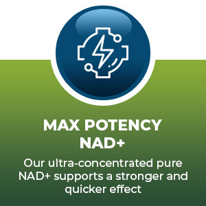 2010 MG NAD+ Supplement- Nicotinamide Riboside, Resveratrol, Quercetin & BioPerine® (High Absorption)- Natural NAD Booster for Anti-Aging, Cellular Energy, Skin- For Women & Men- 90 V Capsules