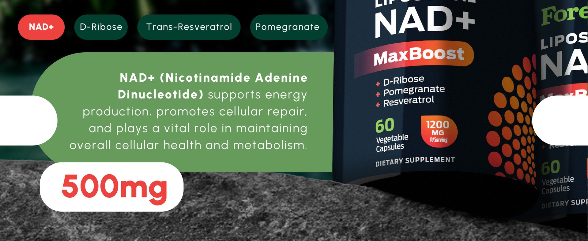 ForestLeaf Liposomal NAD+ with Resveratrol, 1200mg Complex, 60 Ct
