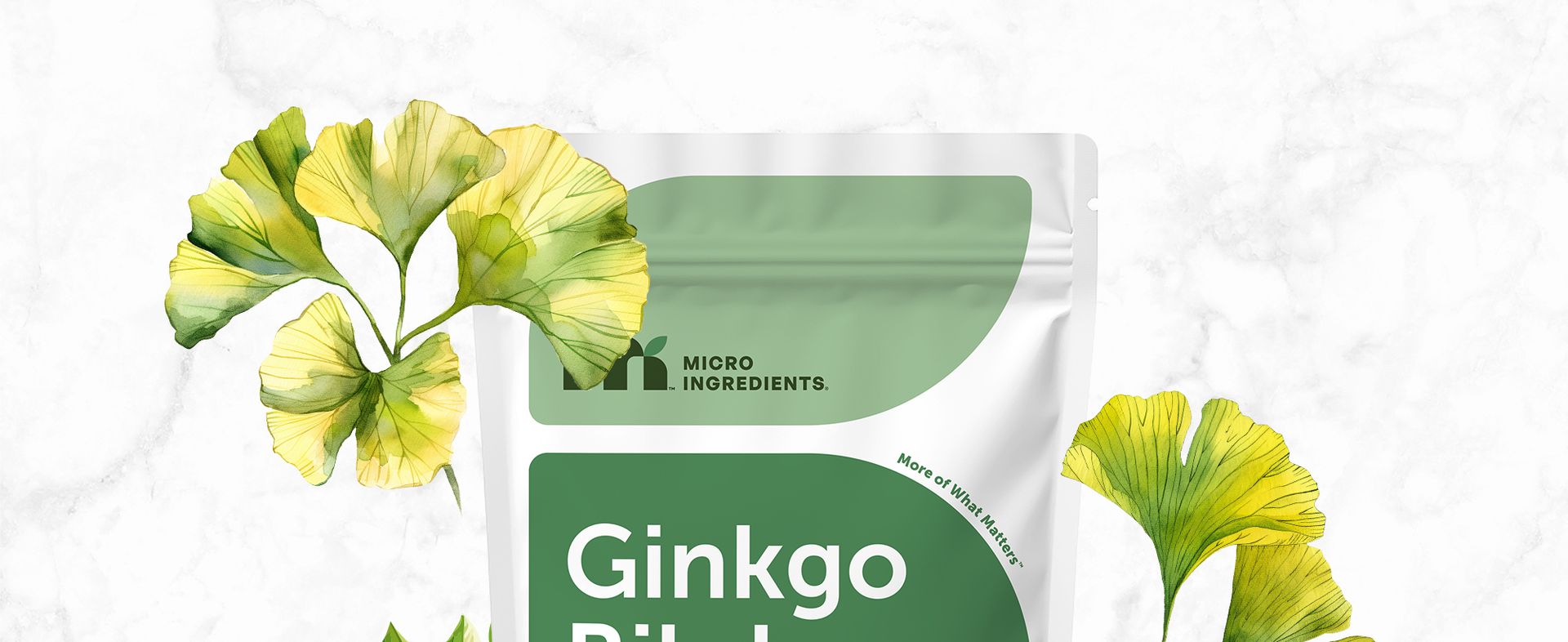 Micro Ingredients Ginkgo Biloba 120 mg Per Serving, 400 Softgels | 3-in-1 with Panax Ginseng & Lion’s Mane | Herbal Mushroom Blend | Made with MCT Oil | Non-GMO