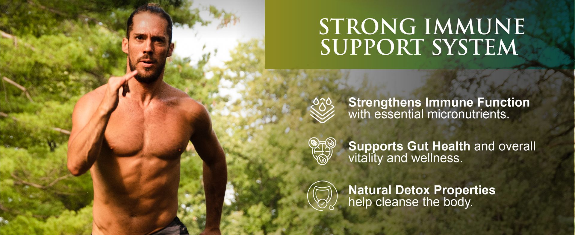 Sunlit Best Organic Chlorella Spirulina Tablets, Green Algae Pills, 500 CT