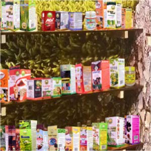 Basic Ayurveda Makoy & Punarnava Mix Juice 450ml | Enriched with Bhumi Amla | Supports Liver & Kidney Detox | Herbal Blend for Daily Wellness