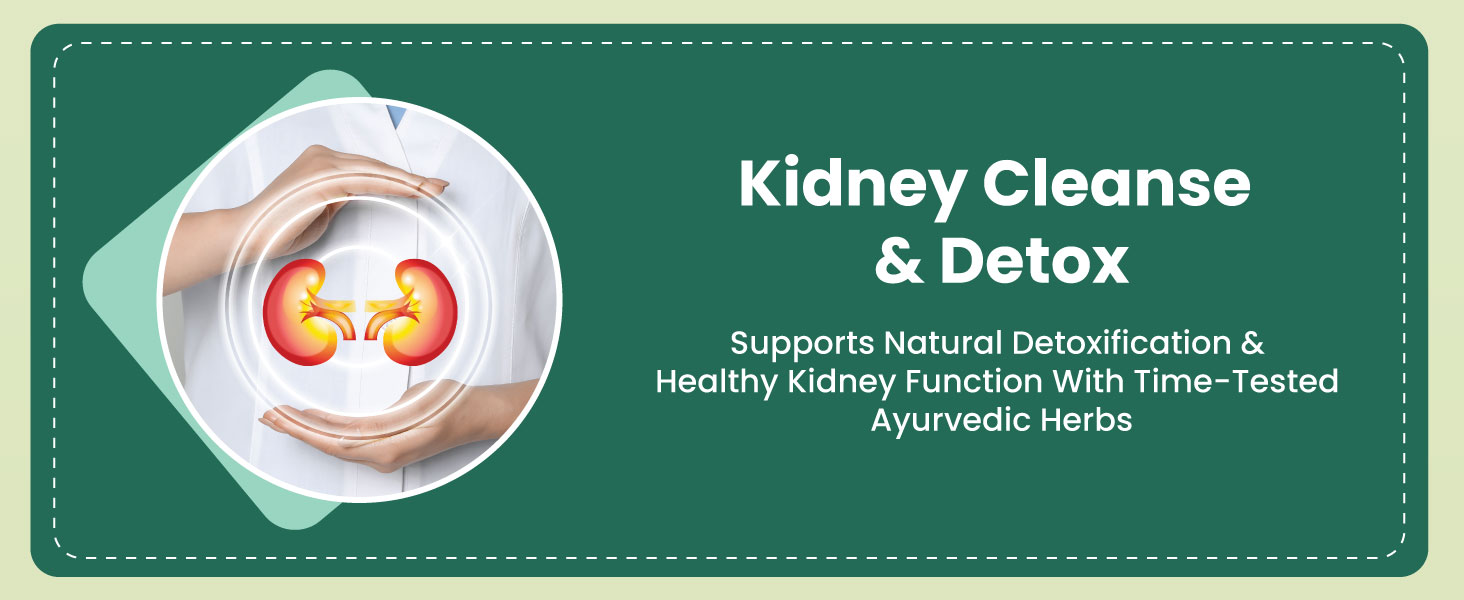 ZEROHARM Holo Kidney Detox | Herbal Creatinine & Kidney Support with Varuna, Punarnava,Pathachata | Kidney Detox & Cleanse for Men & Women | Nano Formulated Ayurvedic Health Supplement - 60 Tablets