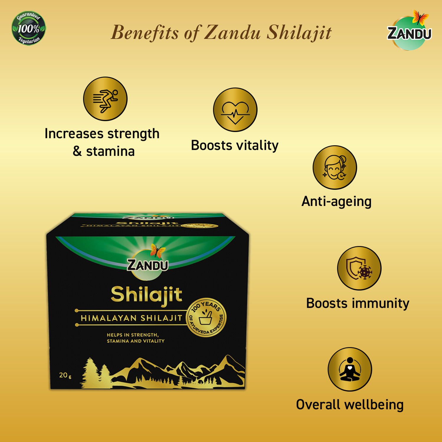 Zandu Shilajit Resin | Pure Himalayan | >70% Fulvic Acid | Lab-Tested for Purity | 20g | 80+ Micronutrients | Natural Daily Energy & Stamina