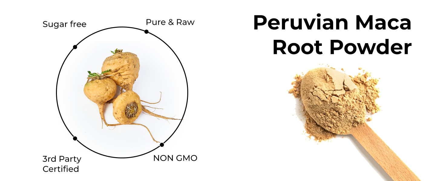 Rooted Active's Organic Maca Root Powder - Peruvian Superfood, Gelatinized for Easy Digestion, Traditionally Used for Energy and Hormone Balance, Certified Organic, 100 Grams