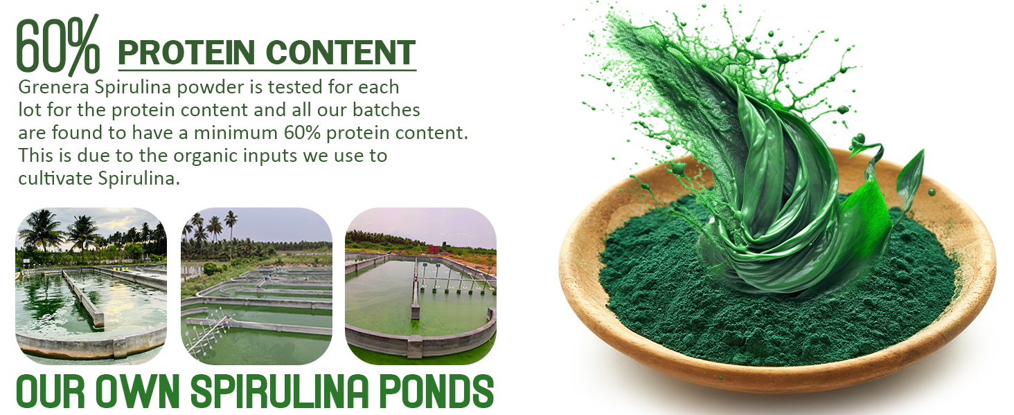 Grenera Spirulina Powder, Rich in Protein, Vitamins, Minerals, Gluten Free, Vegan, Non GMO, 100 grams
