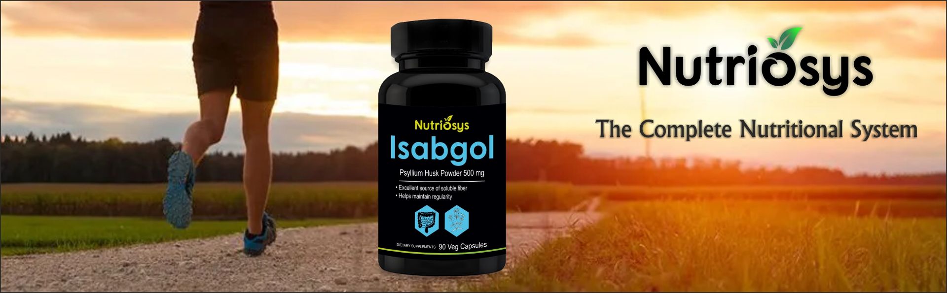 Nutriosys Isabgol 500mg Supplement | Supports Digestive Health | Helps Manage Glucose Levels | Natural Soluble Fiber | From Psyllium Husk | 90 Veg Capsules