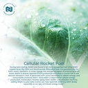 nootropics-depot-nadh-chlorella-vulgaris-5.jpg