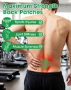 mymulike-back-patches-36-count-maximum-s-4.jpg