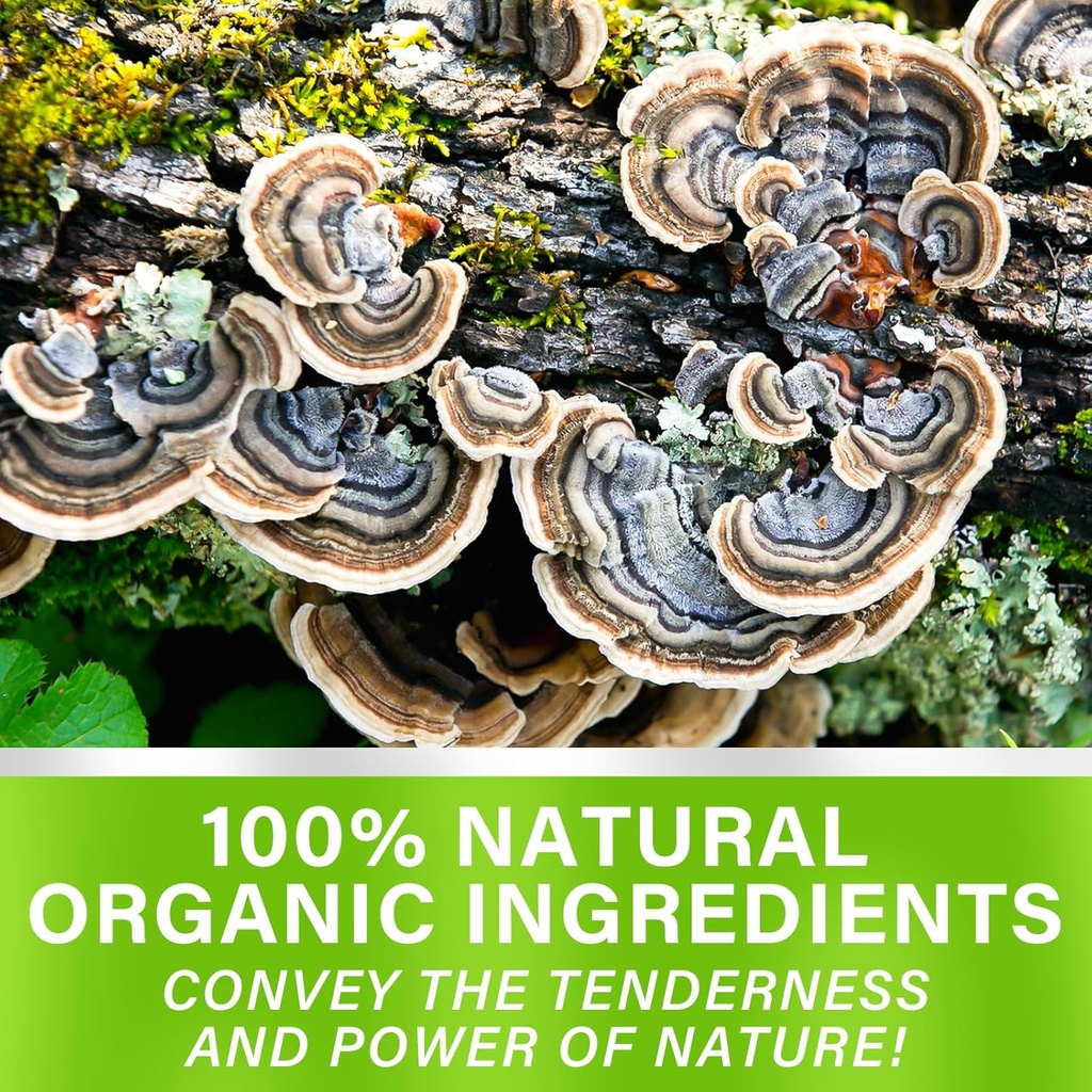 turkey-tail-mushroom-extract-2-fl-oz-mus-6.jpg