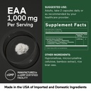 smarternutrition-essential-amino-acids-e-4.jpg