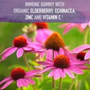 garden-of-life-organics-plant-based-elde-6.jpg