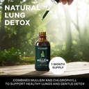 betterbrand-mullein-drops-for-lung-detox-3.jpg