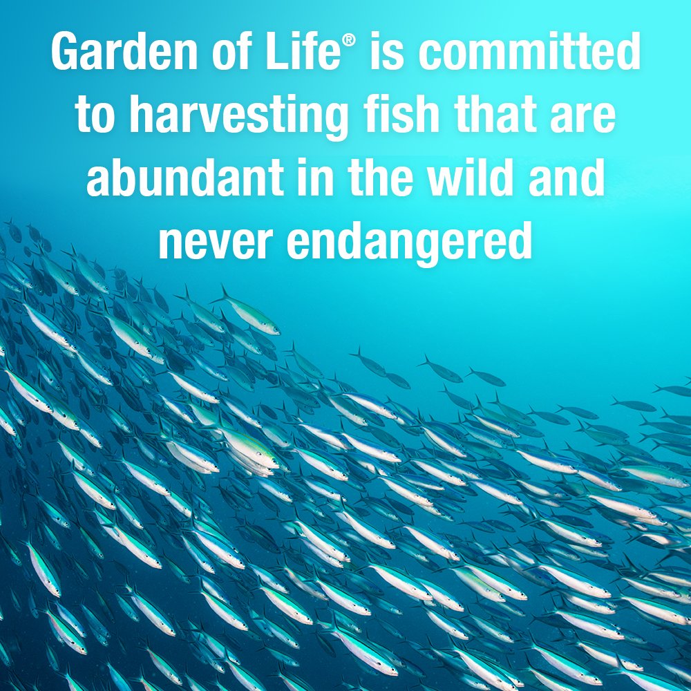garden-of-life-oceans-mom-prenatal-fish--6.jpg