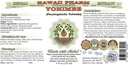yohimbe-alcohol-free-liquid-extract-yohi-2.jpg