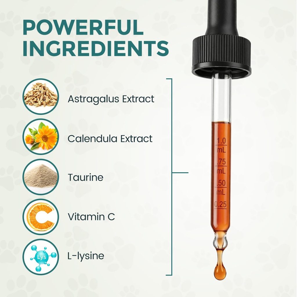 dogs-immune-support-supplement-supportin-3.jpg
