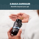 ancient-nutrition-probiotics-sbo-probiot-6.jpg