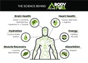 alpine-innovations-body-fuel-focus-energ-3.jpg