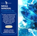 potent-garden-mega-mineral-supplement-co-2.jpg