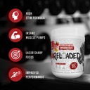 5-nutrition-rich-piana-reloaded-high-sti-3.jpg