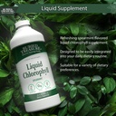 buried-treasure-liquid-chlorophyll-100-m-3.jpg