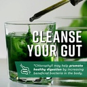 360-nutrition-matcha-chlorophyll-liquid--5.jpg