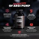 gains-in-bulk-l-arginine-amino-acids-sup-2.jpg