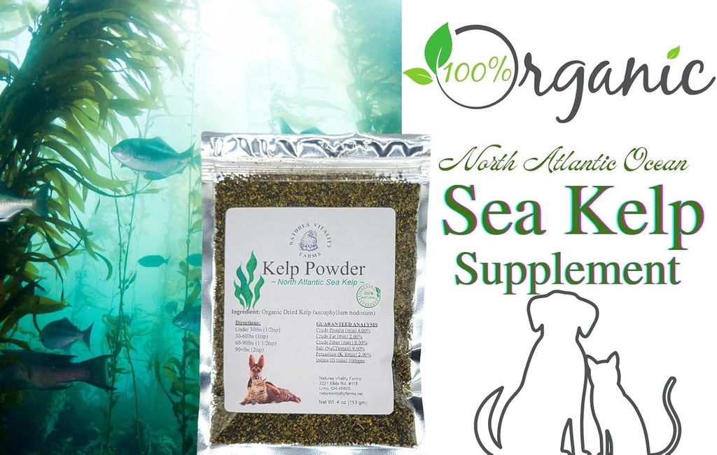 kelp-powder-for-dogscats-natural-north-a-4.jpg