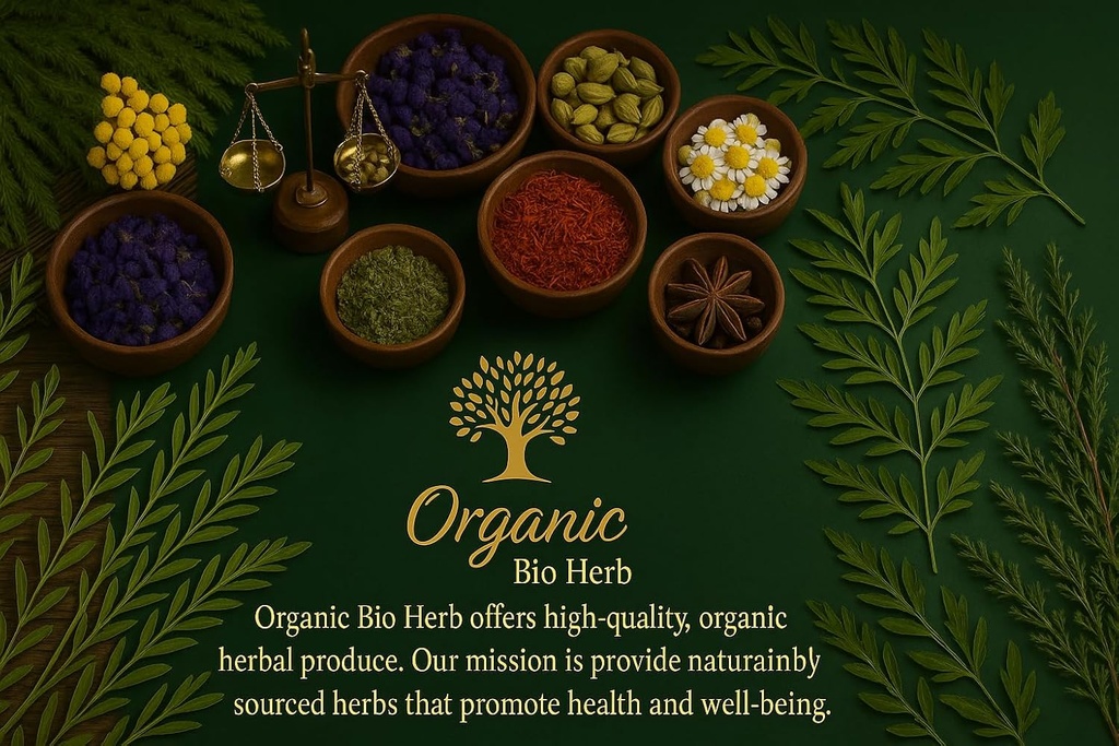 organic-bio-herbs-echinacea-dried-flower-6.jpg