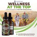 chlorophyll-maxx---liquid-chlorophyll----4.jpg