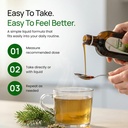 hubner-tannenblut-organic-herbal-prepara-5.jpg