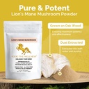addictive-wellness-lions-mane-supplement-2.jpg