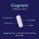 bestvite-cognizin-citicoline-500mg-120-v-6.jpg