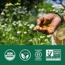 organic-india-triphala-herbal-supplement-4.jpg