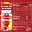 2000mg-berberine-supplement-gummies---hi-3.jpg