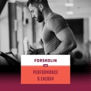 bundle-of-natural-pre-workout-forskolin--6.jpg