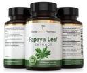 florida-herbal-pharmacy-papaya-leaf-extr-4.jpg
