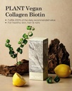 vegan-collagen-with-biotin-15-sticks---p-2.jpg